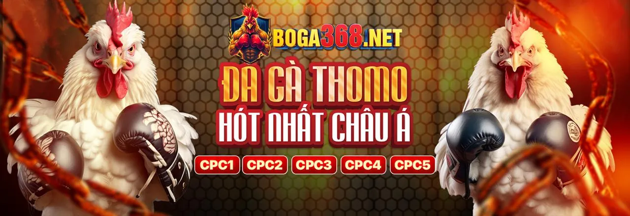 Phân tích dữ liệu và chiến lược cá cược thông minh tại s666me win