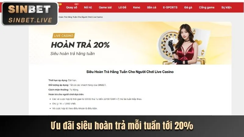 Hình ảnh minh họa các loại cookie khác nhau được s666me win sử dụng